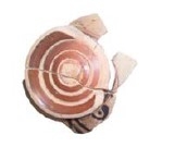 Rouillard/de la Torre/Sánchez Moreno 2017