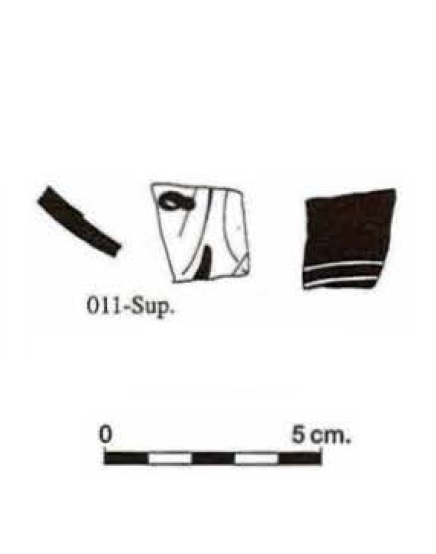 BONET 1995, p. 383, fig. 139