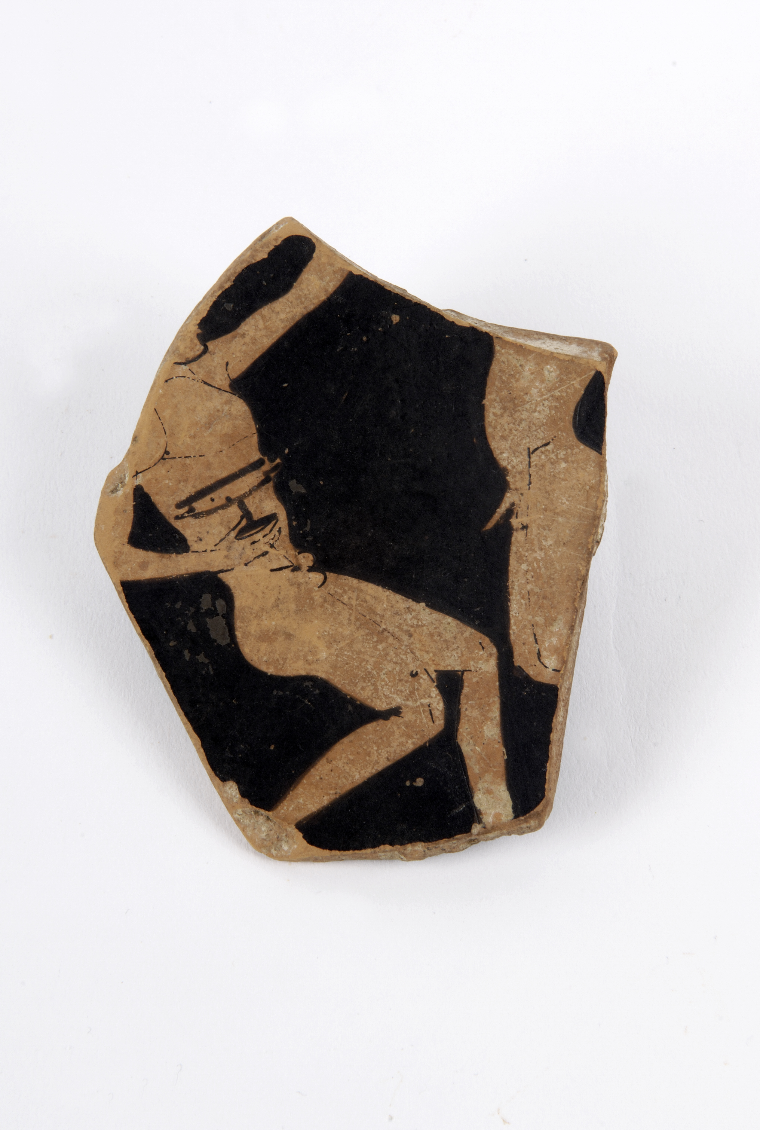 Foto: Museu d'Arqueologia de Catalunya-Empúries
