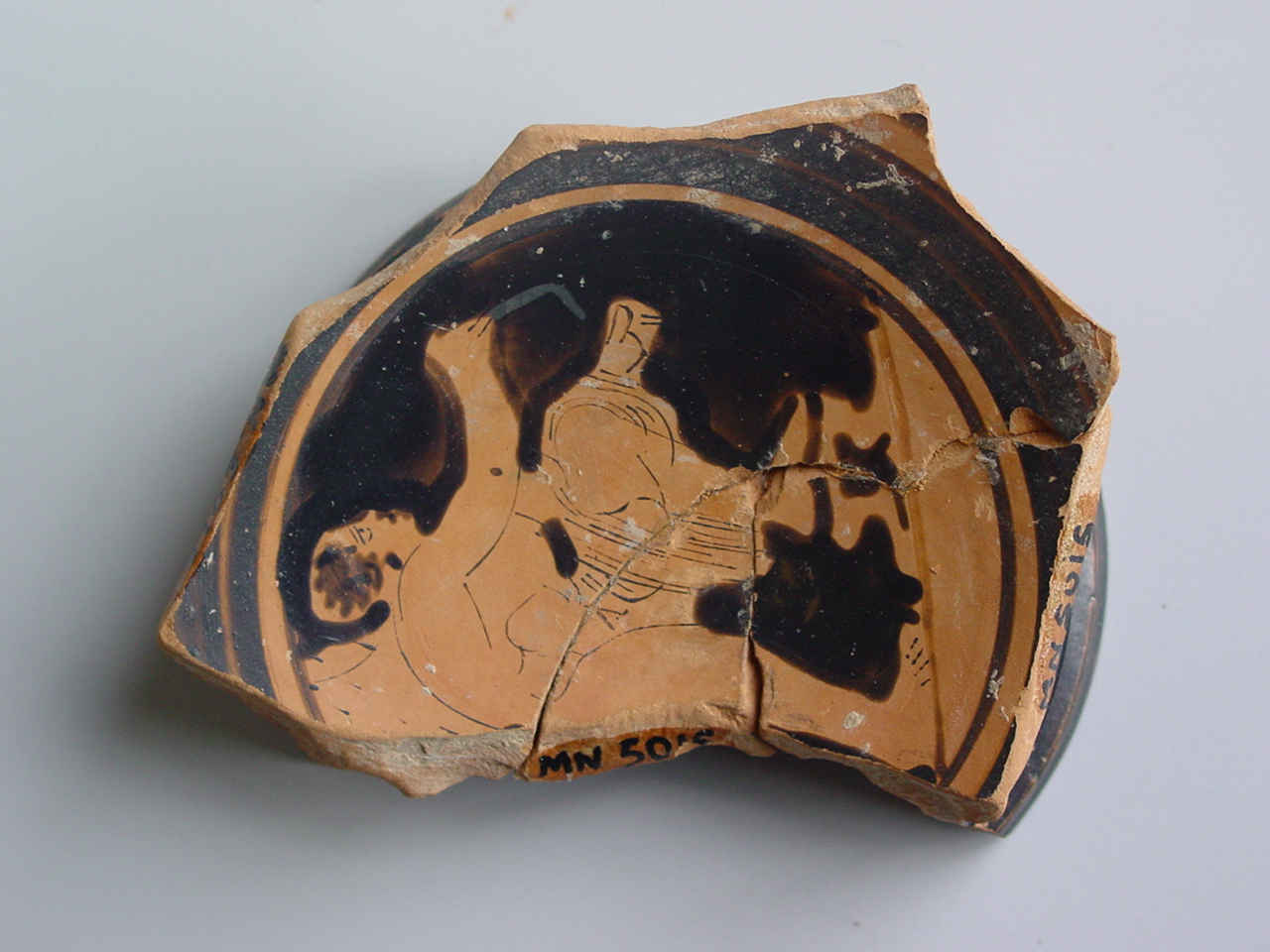 Foto: Museu d'Arqueologia de Catalunya-Empúries