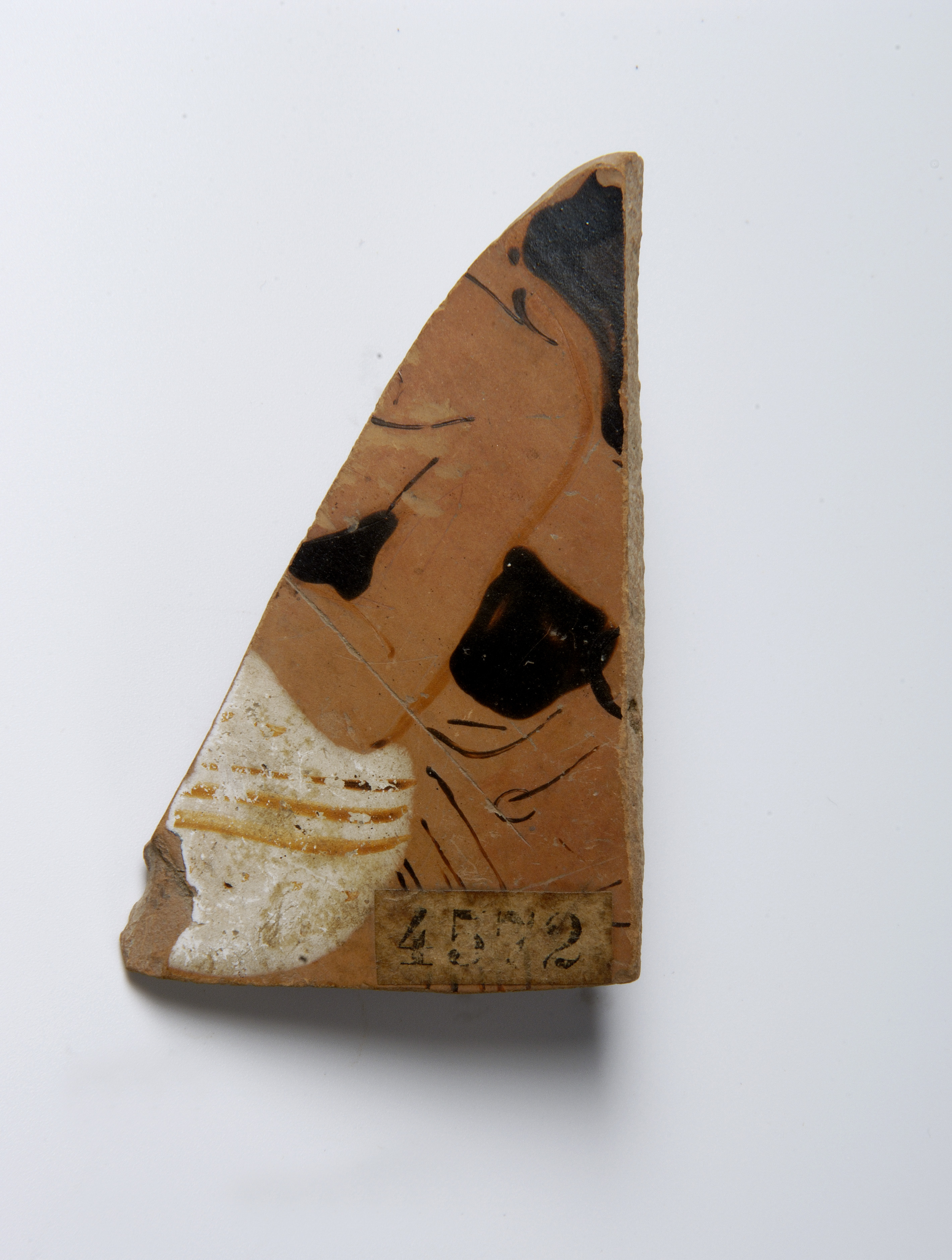 Foto: Museu d'Arqueologia de Catalunya-Empúries