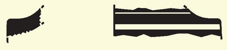 Garcés/Masó/Bruguera 2013