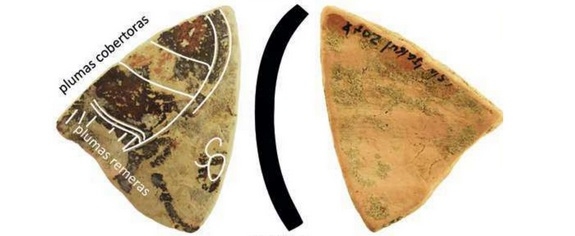 GONZALEZ DE CANALES/LLOMPART 2023