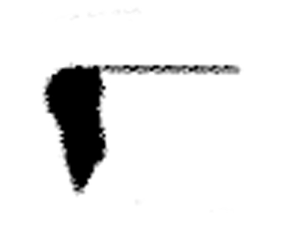 GARCÍA GANDÍA 2002