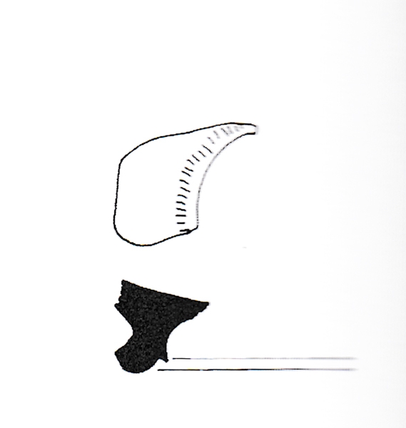 García Martín 2003