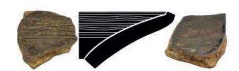 GONZALEZ DE CANALES/LLOMPART 2023