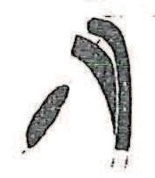 Asensio et alii 2000b