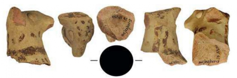 GONZALEZ DE CANALES/LLOMPART 2023