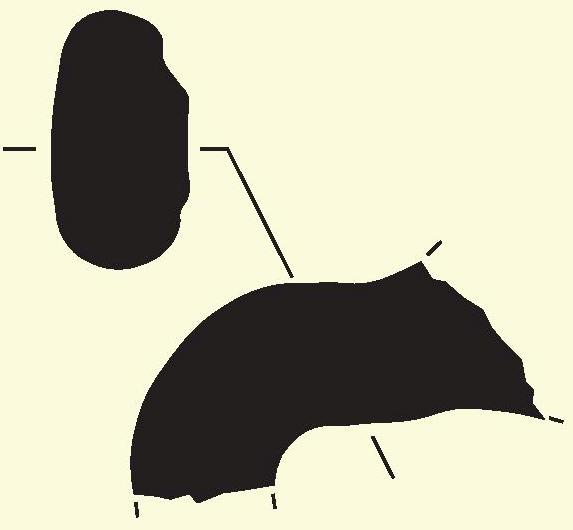 Garcés/Masó/Bruguera 2013