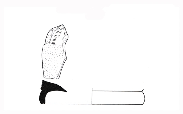 García Martín 2003