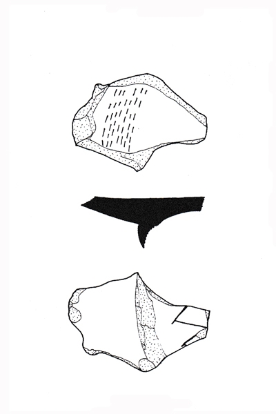 García Martín 2003