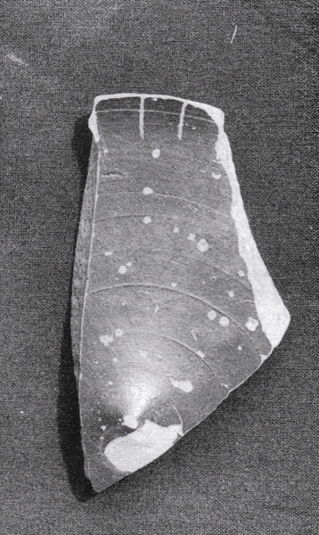 García Martín 2003