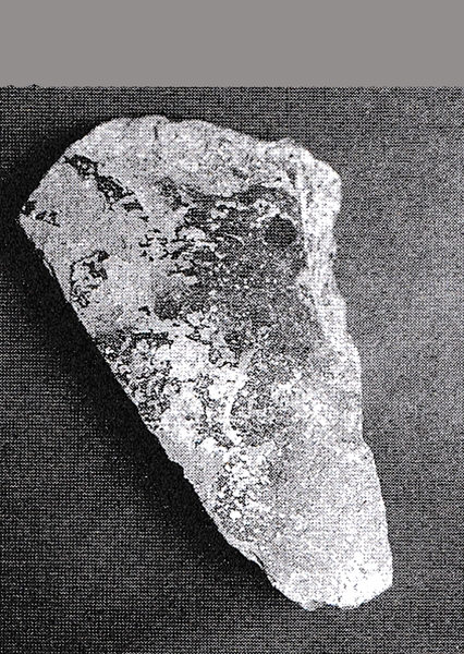 García Martín 2003