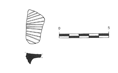 Adserias,Burés,Miró,Ramon 1993 Fig.30- 3
