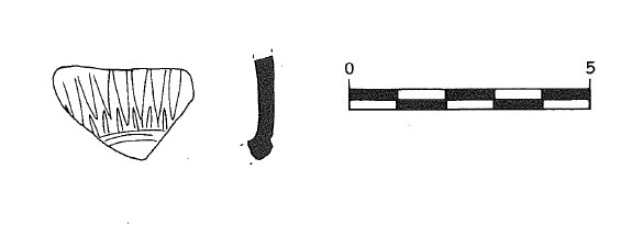 Adserias,Burés,Miró,Ramon 1993 Fig.31- 4