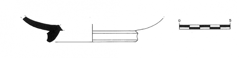 Adserias,Burés,Miró,Ramon 1993 Fig.31- 6