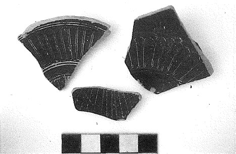 Adserias,Burés,Miró,Ramon 1993 Fig.41