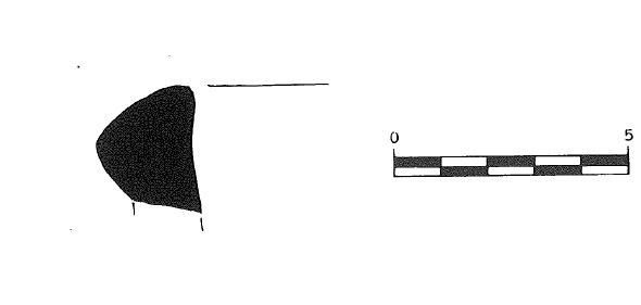 ADSERIAS BURÉS MIRÓ RAMON 1993 Fig.5- 5