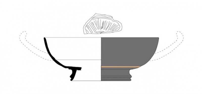 AMOROS/VIVES-FERRANDIZ 2022 p.7 fig.6-4