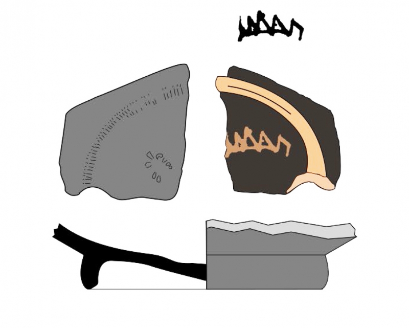 AMOROS/VIVES-FERRANDIZ 2022 p.9 fig.8-7