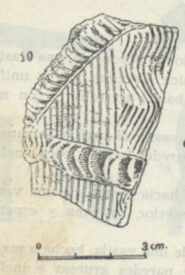 ARRIBAS 1956. Fig.8-10
