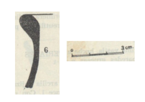 ARRIBAS 1956. Fig.8-6
