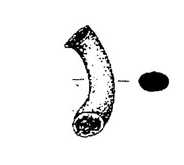 Jiménez Ávila/Ortega 2004