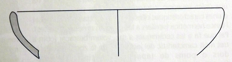 Asensio, Miro, Sanmartí, Tarra dell, 2002. Fig.6-3