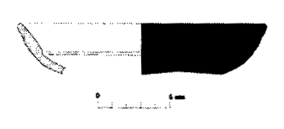 ASENSIO- CELA- MORER 2005.Fig.6-14
