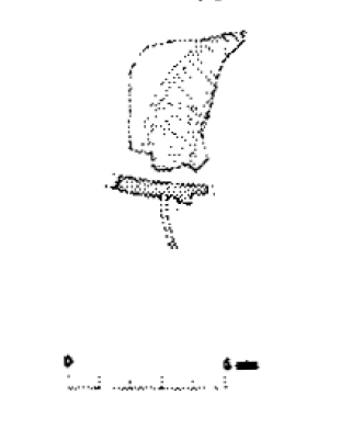 ASENSIO- CELA- MORER 2005.Fig.6-18