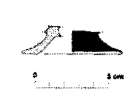 ASENSIO- CELA- MORER 2005.Fig.6-2