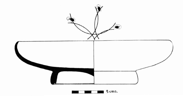 Barberà 1964. Fig.1-1