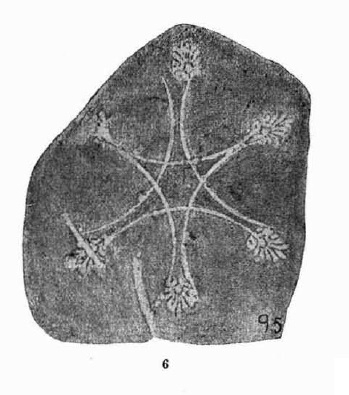 Fletcher / Pla / Alcacer 1965