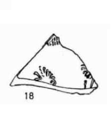 Fletcher/Pla/Alcacer 1969