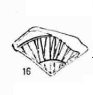 Fletcher/Pla/Alcacer 1969