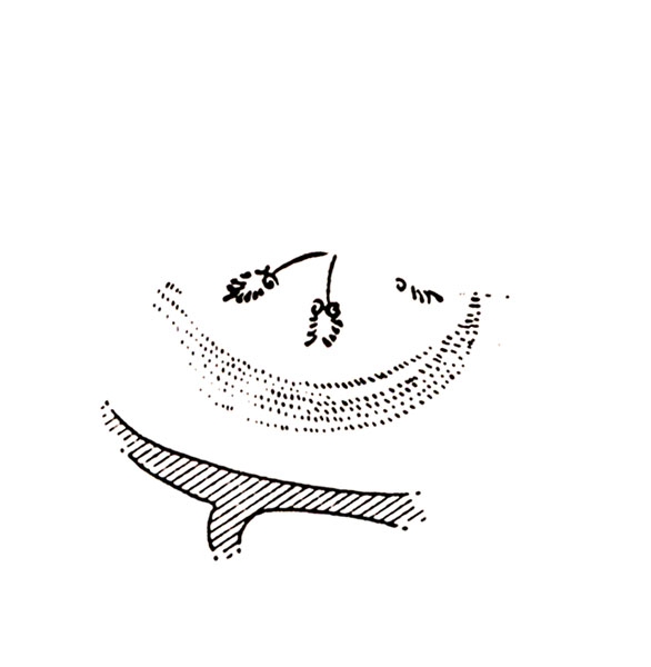 SÁNCHEZ 1992b, fig. 26, nº 84