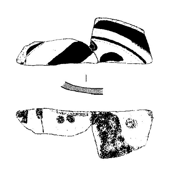 Jiménez Ávila/Ortega 2004