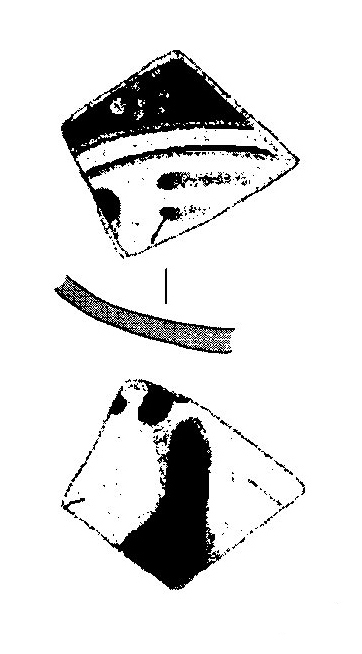 Jiménez Ávila/Ortega 2004