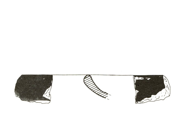 DEL AMO, BELÉN 1981, fig. 8, 7