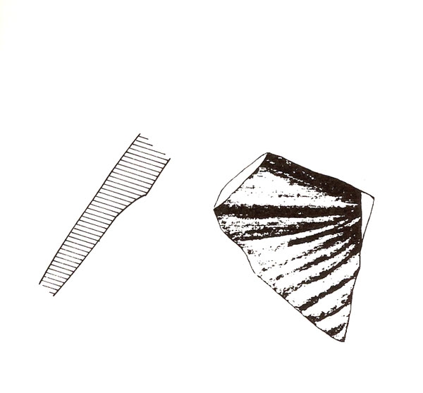 CABRERA 1994, fig. 6, nº 5