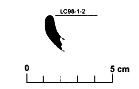 CARDONA 1999.Fig.10-8