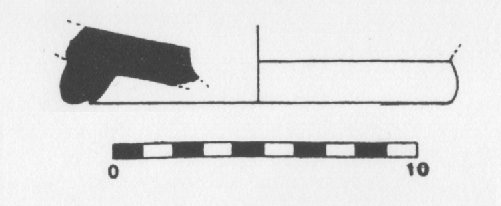 Carrasco, Pallejà, Revilla 1995. Fig.8