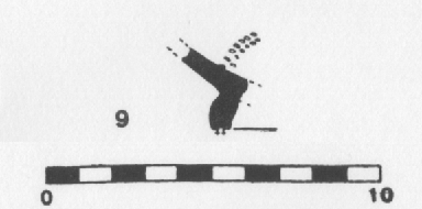 Carrasco, Pallejà, Revilla 1995. Fig.9