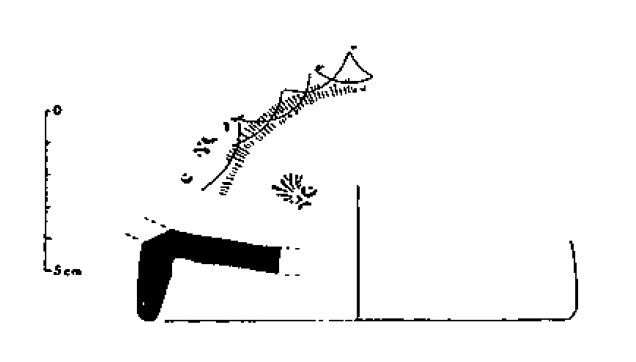 CASAÑAS 1999. Fig.1-7