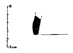 CASAÑAS 1999. Fig.1-9