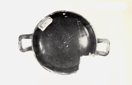 TRIAS 1967, lám. CCXLIII, 2