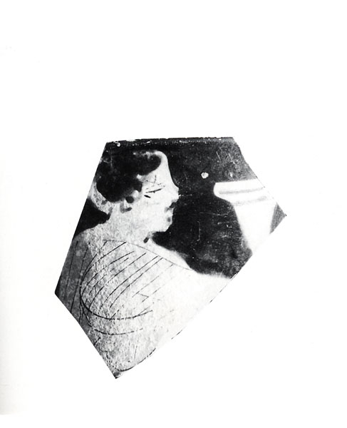 PERDIGUERO 1993-1994, foto 1