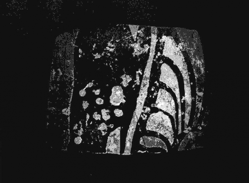 Ortega/del Valle 2004