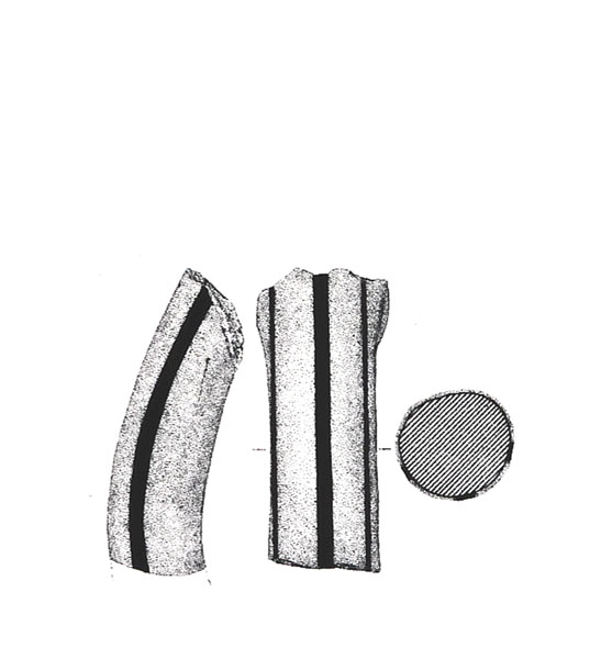 MAASS-LINDEMANN 2002, lám. 21, nº 68