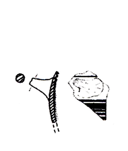 MAASS-LINDEMANN 2002, lám. 21, nº 64